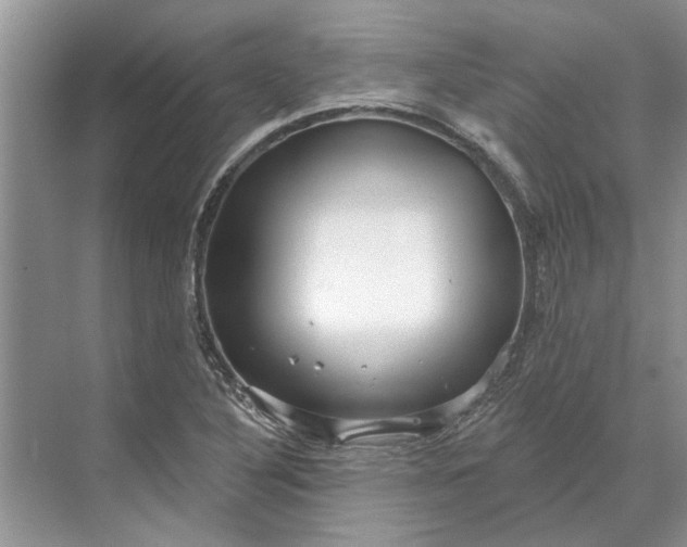X0000070201316200606091548