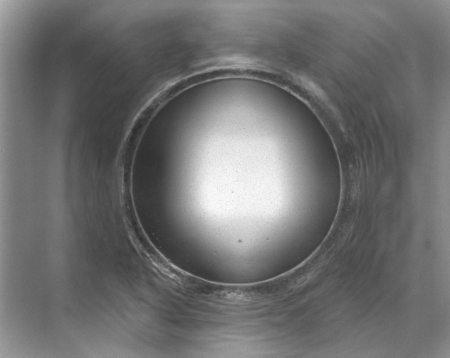 X0000070201318200606091548