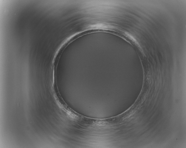 X0000070201323200606091548