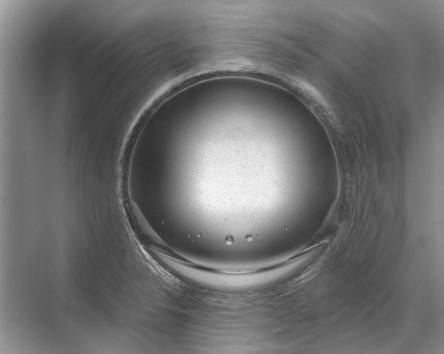 X0000070201326200606091548