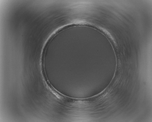 X0000070201327200606091548