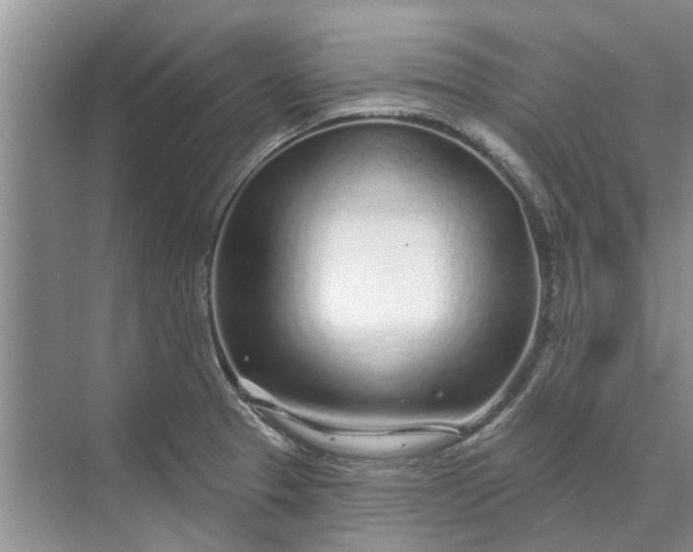 X0000070201329200606091548