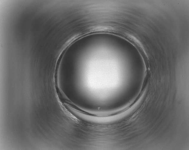 X0000070201330200606091548