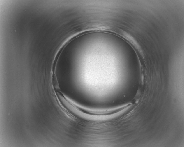 X0000070201332200606091548
