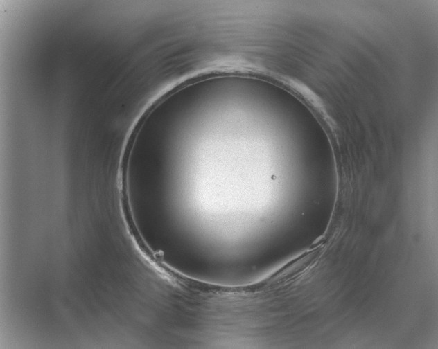 X0000070201335200606091548