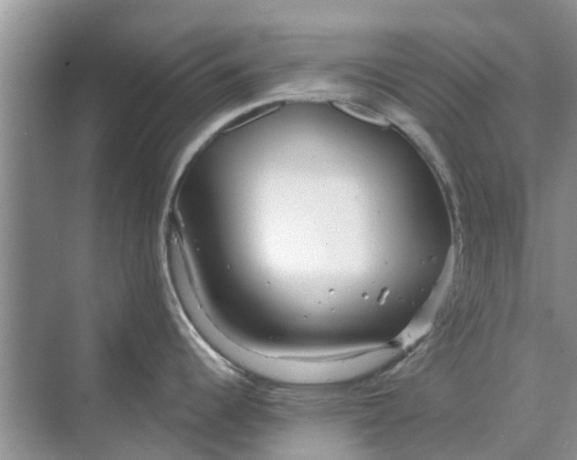 X0000070201344200606091549