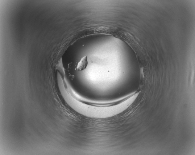 X0000070201345200606091548
