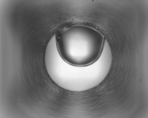 X0000070201348200606091548