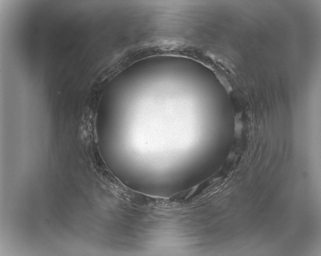 X0000070201349200606091548