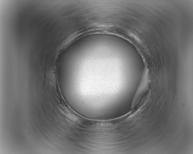 X0000070201354200606091548