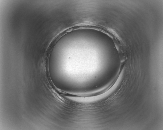X0000070201356200606091548
