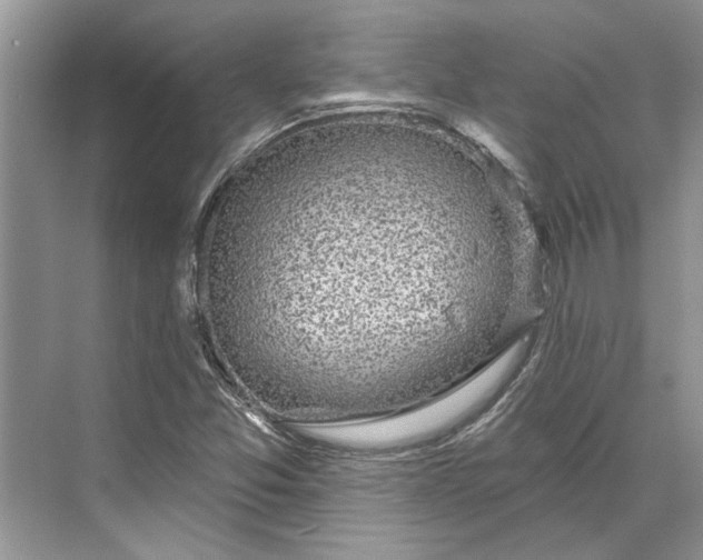 X0000070201357200606091547