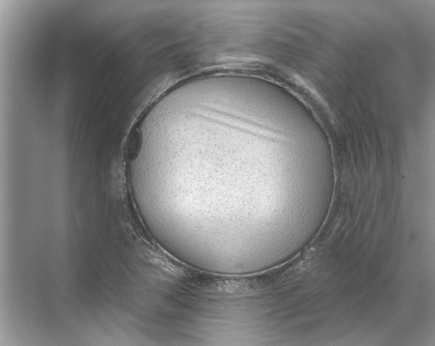 X0000070201362200606091547