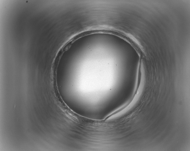 X0000070201364200606091547