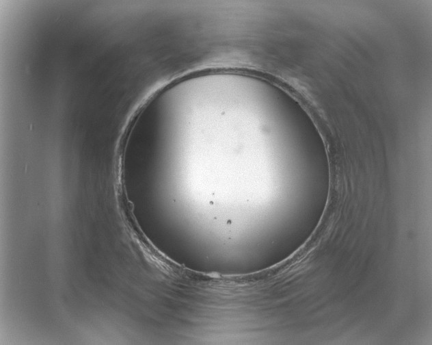 X0000070201366200606091547