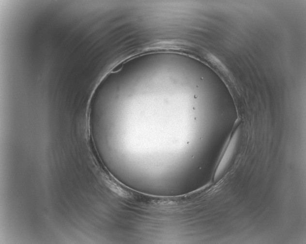 X0000070201370200606091547