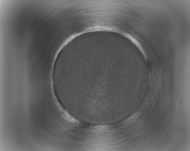 X0000070201373200606091547