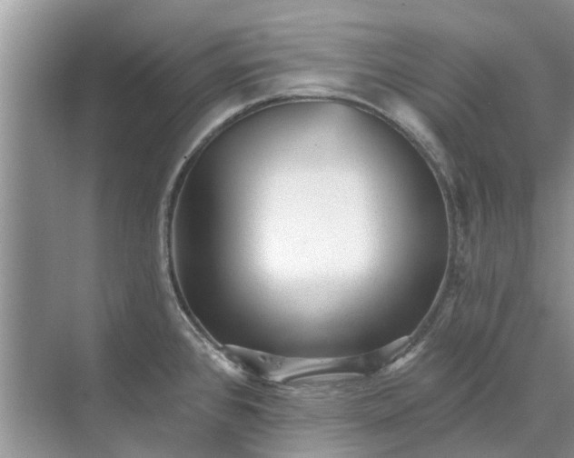 X0000070201384200606091547