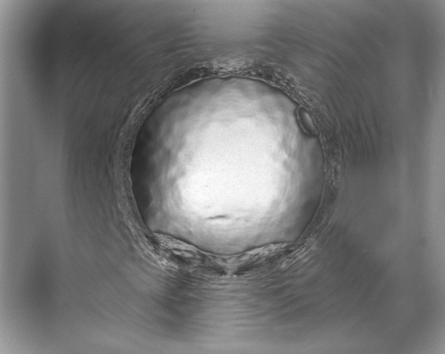 X0000070201393200606091546