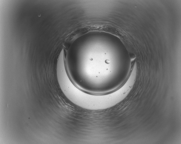 X0000070201394200606091546