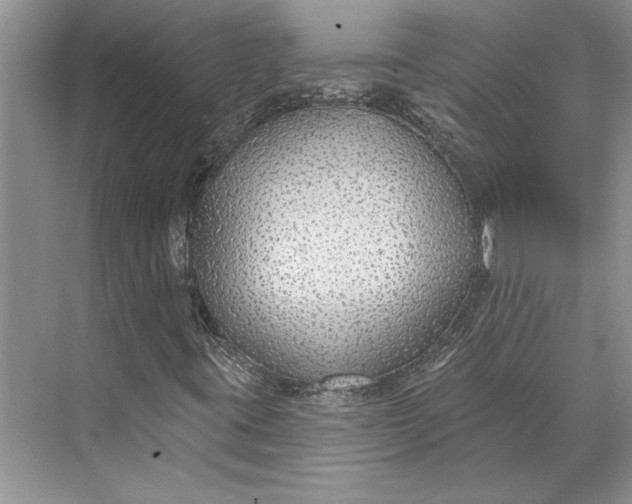 X0000070201395200606091546