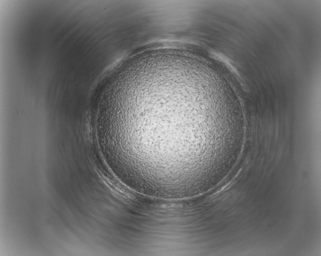 X0000070201403200606091546