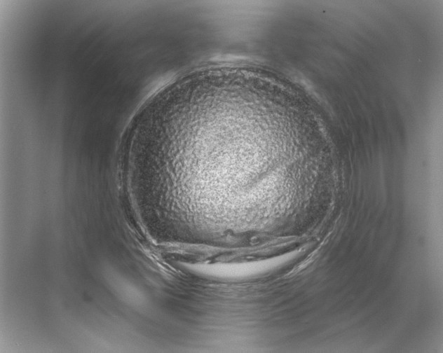 X0000070201405200606091546