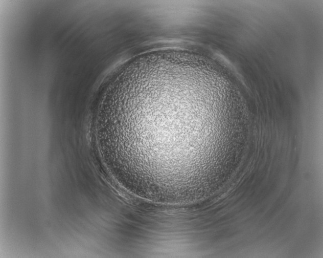 X0000070201411200606091546