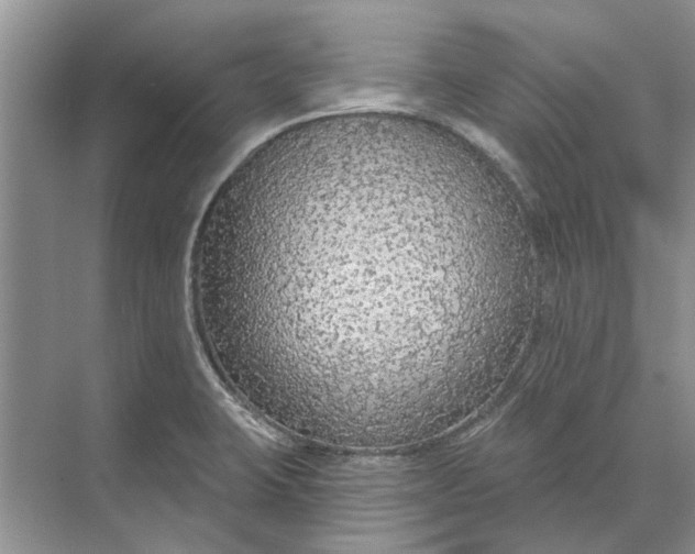 X0000070201423200606091547