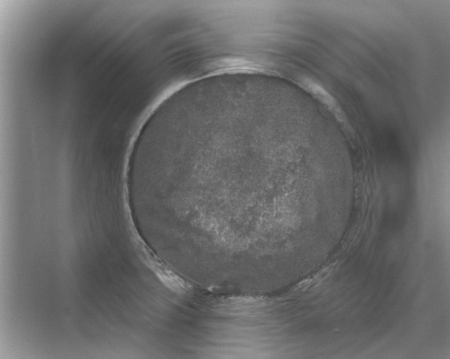 X0000070201427200606091547