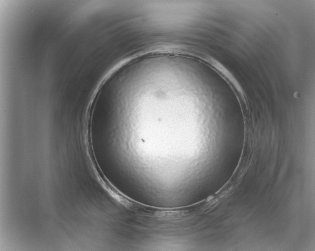 X0000070201437200606091547