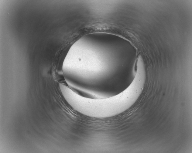 X0000070201444200606091546