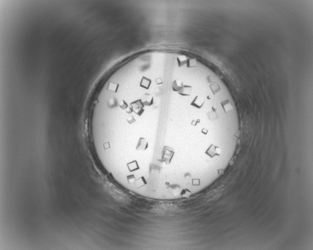 X0000070201462200606091546