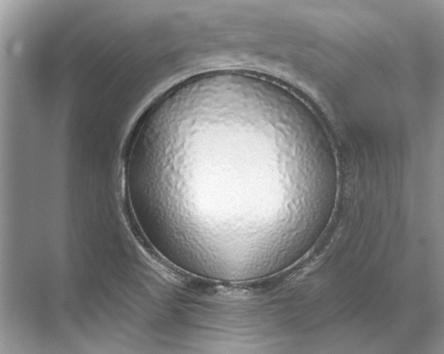 X0000070201509200606091545