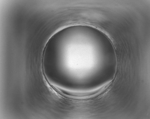 X0000070201534200606091545