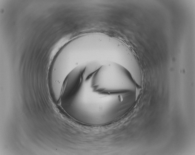 X0000070200006200606161628