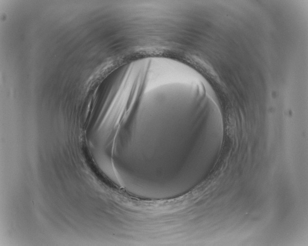 X0000070200023200606161628
