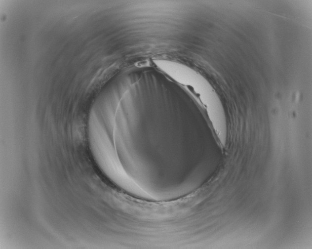 X0000070200035200606161627