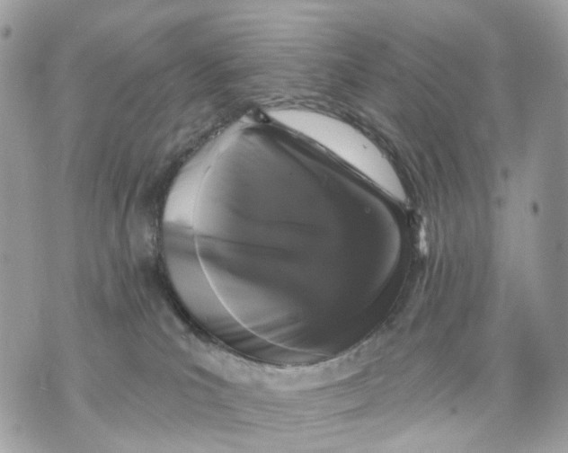 X0000070200039200606161627