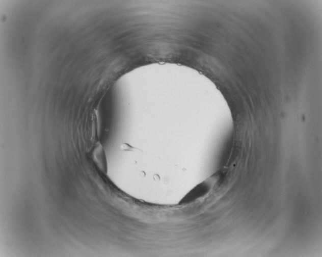 X0000070200040200606161627