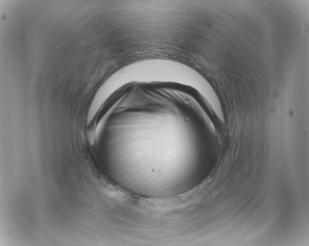 X0000070200041200606161627