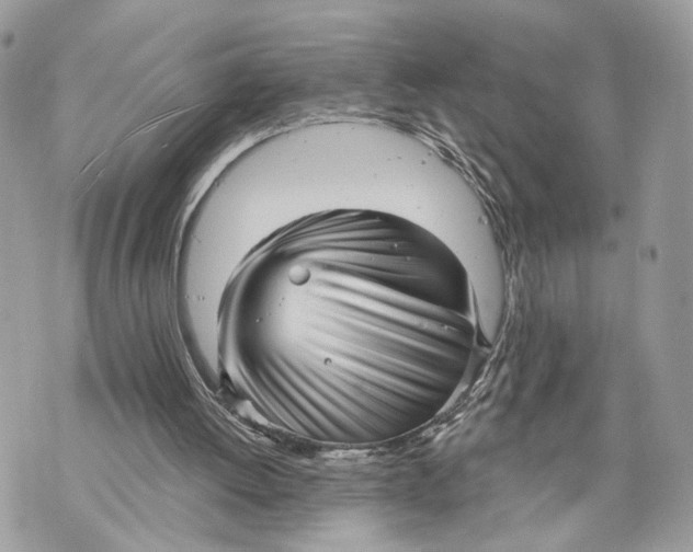 X0000070200052200606161626