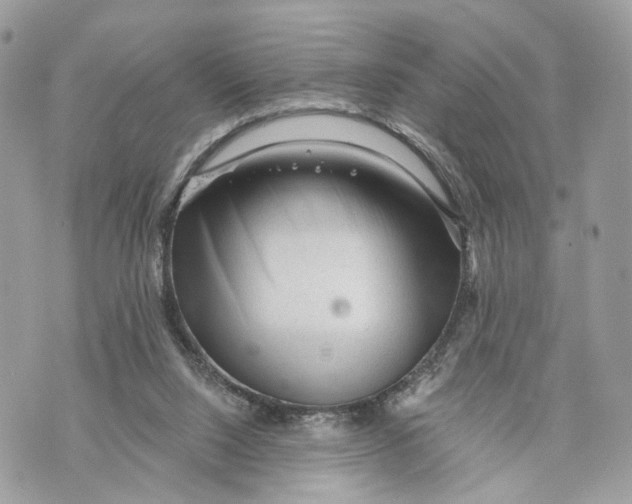 X0000070200064200606161627