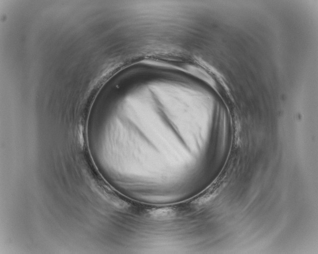 X0000070200067200606161627