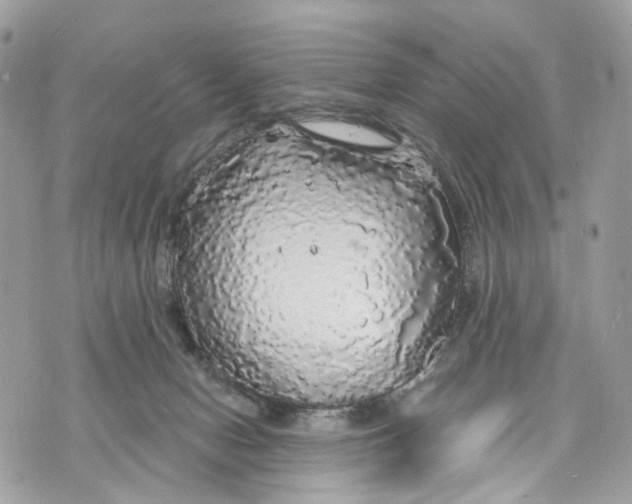 X0000070200078200606161627
