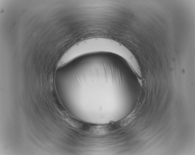 X0000070200082200606161627