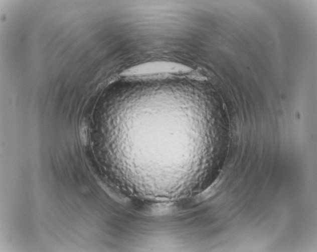 X0000070200090200606161627