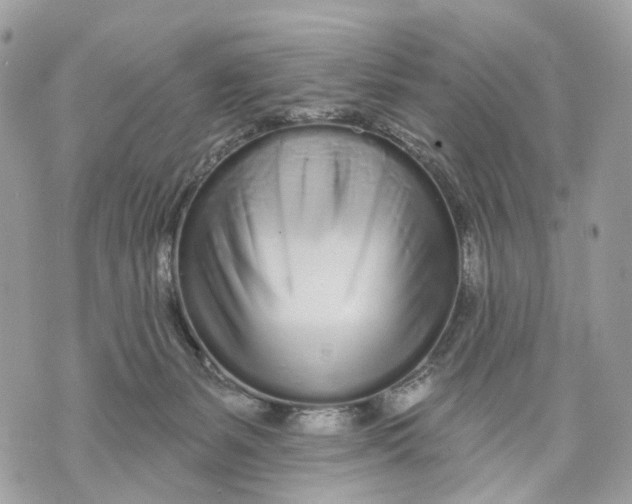 X0000070200127200606161626