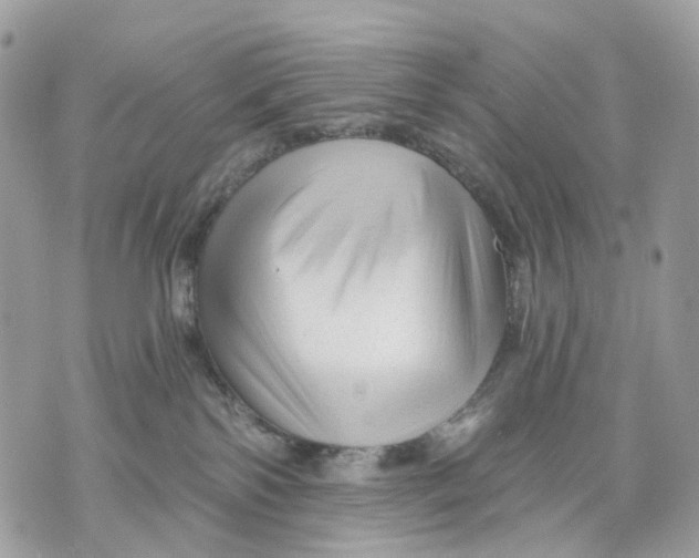X0000070200138200606161626