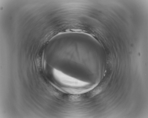 X0000070200139200606161626